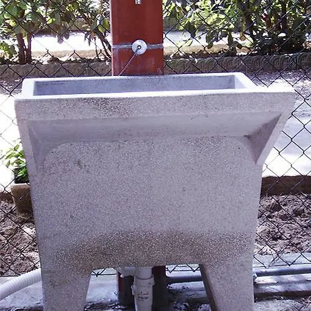 Fiore * Bellaria-Igea Marina
